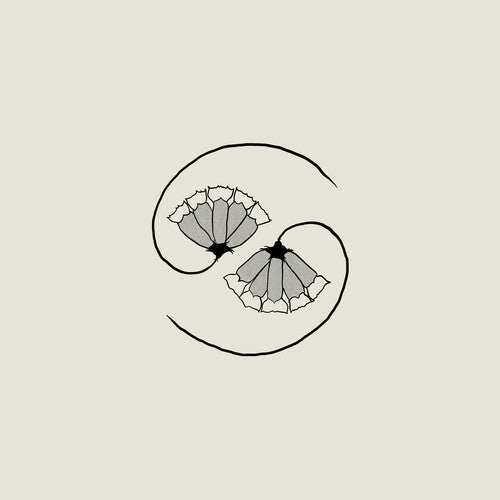 Godspeed You! Black Emperor - G_d's Pee AT STATE'S END! - VINYL