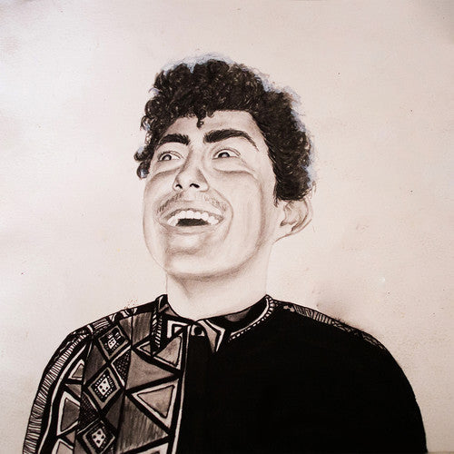 Hobo Johnson - The Rise of Hobo Johnson - VINYL