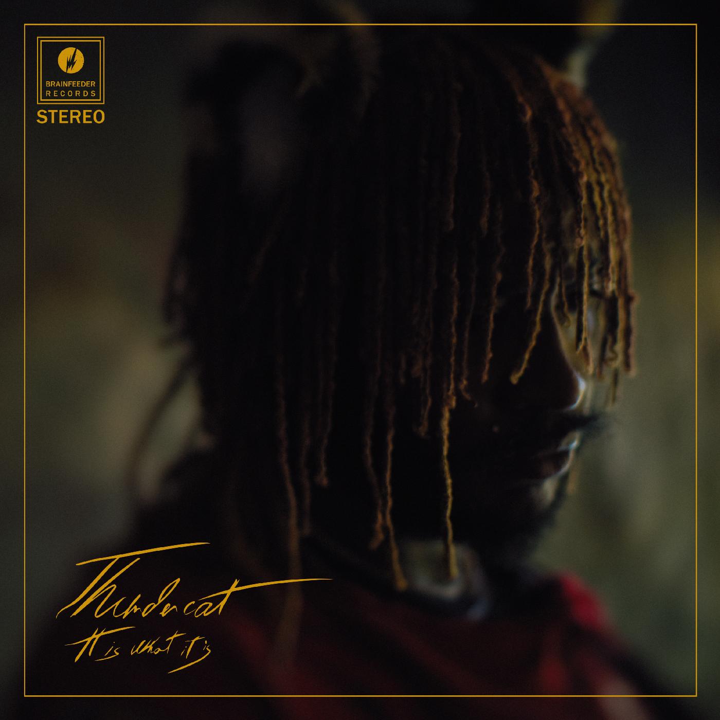 Thundercat - It Is What It Is - Red Vinyl - VINYL