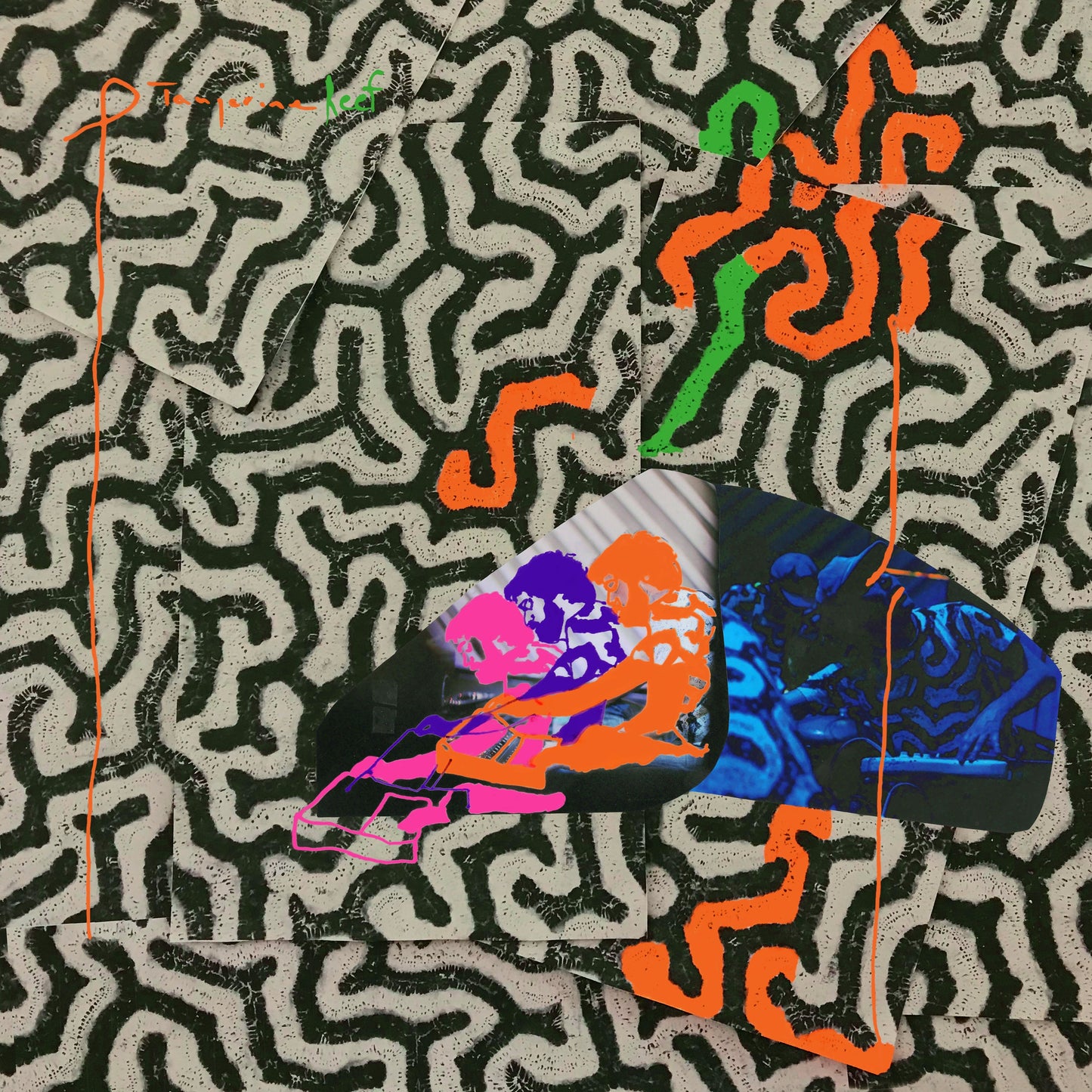 Animal Collective - Tangerine Reef - VINYL