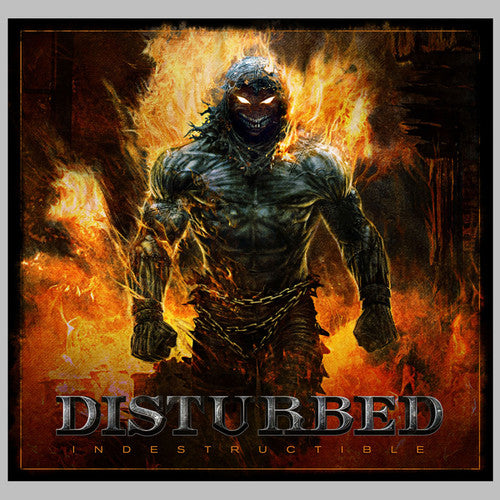 Disturbed - Indestructible - VINYL