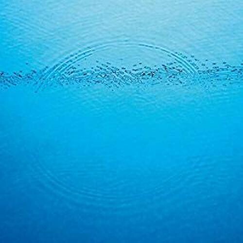 Caribou - Suddenly - VINYL