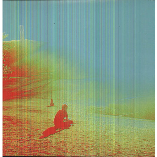 The Flaming Lips - The Terror - VINYL