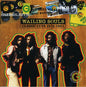 The Wailing Souls: Most Wanted: The Best of & More - CD