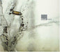 Recoil: Liquid - CD