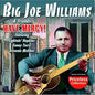 Big Joe Williams: Have Mercy - CD