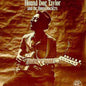 Hound Dog Taylor: & Houserockers - CD