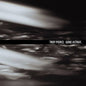 Troy Pierce: Gone Astray - CD