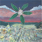 Adrian Orange & Her Band: Adrian Orange and Her Band - CD