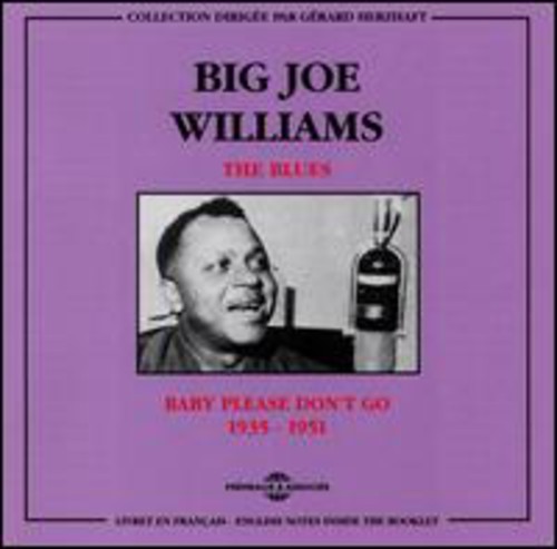 Big Joe Williams: Blues - CD