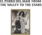 El Perro del Mar: From the Valley to the Stars - CD