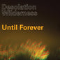 Desolation Wilderness: Until Forever - 7-INCH SINGLE