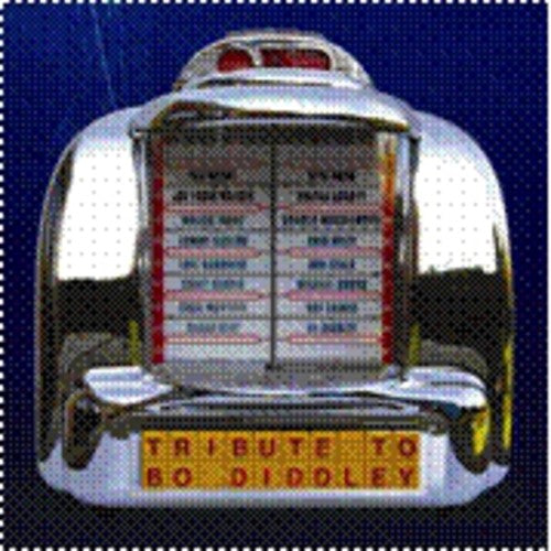 Various Artists: Tribute to Bo Diddley - CD