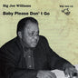 Big Joe Williams: Baby Please Don't Go - CD