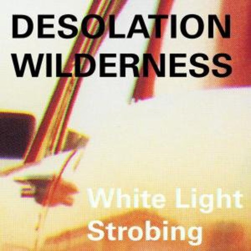 Desolation Wilderness: White Light Strobing - VINYL