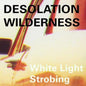 Desolation Wilderness: White Light Strobing - VINYL