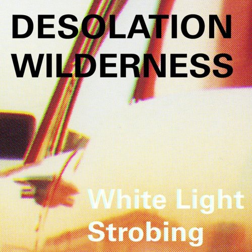 Desolation Wilderness: White Light Strobing - CD