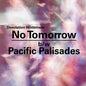 Desolation Wilderness: No Tomorrow/Pacific Palisades - 7-INCH SINGLE