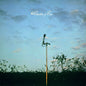 Cluster & Eno: Cluster & Eno - VINYL