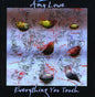 Amy Lowe: Everything You Touch - CD