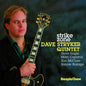 Dave Stryker: Strike Zone - CD