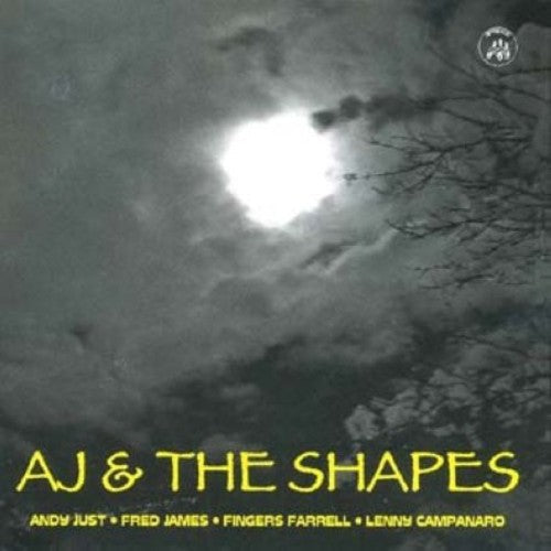 AJ & the Shapes: Andy Just and The Shapes - CD