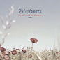 Connie Price & the Keystones: Wildflowers - 12-INCH SINGLE