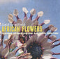 Geof Bradfield: African Flowers - CD