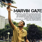 Marvin Gaye: Icon - CD