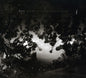 Woe: Quietly, Undramatically - CD