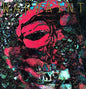 Warpaint: The Fool - VINYL