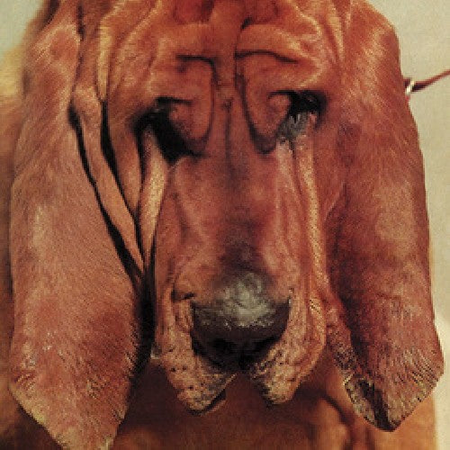 Ty Segall: Goodbye Bread - CD