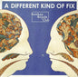 Bombay Bicycle Club: Different Kind of Fix - CD