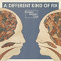 Bombay Bicycle Club: Different Kind of Fix - VINYL