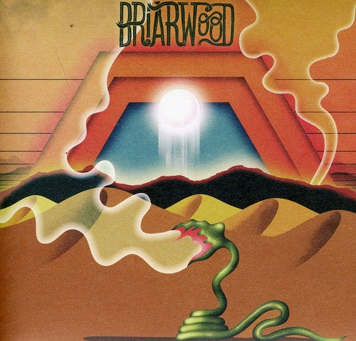 Wooden Wand & the Vanishing Voice: Briarwood - CD