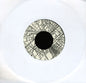 The Precisions: If This Is Love - 7-INCH SINGLE