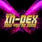 In-Dex: Best of - Now You're Gone - CD