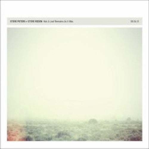 Steve Roden: Not a Leaf Remains As It Was - CD