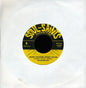 The Transgressors: Will Power / Money For Born, Money For Die - 7-INCH SINGLE