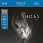 Various Artists: Great Voices: 1 (Various Artists) - VINYL