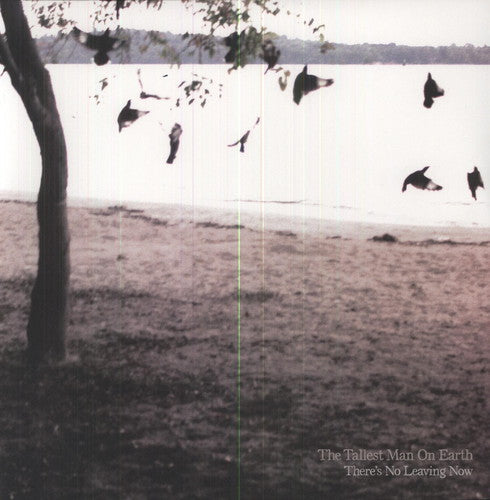 The Tallest Man on Earth: There's No Leaving Now - VINYL