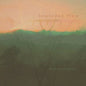 Imploded View: Picnics with Pylons - CD
