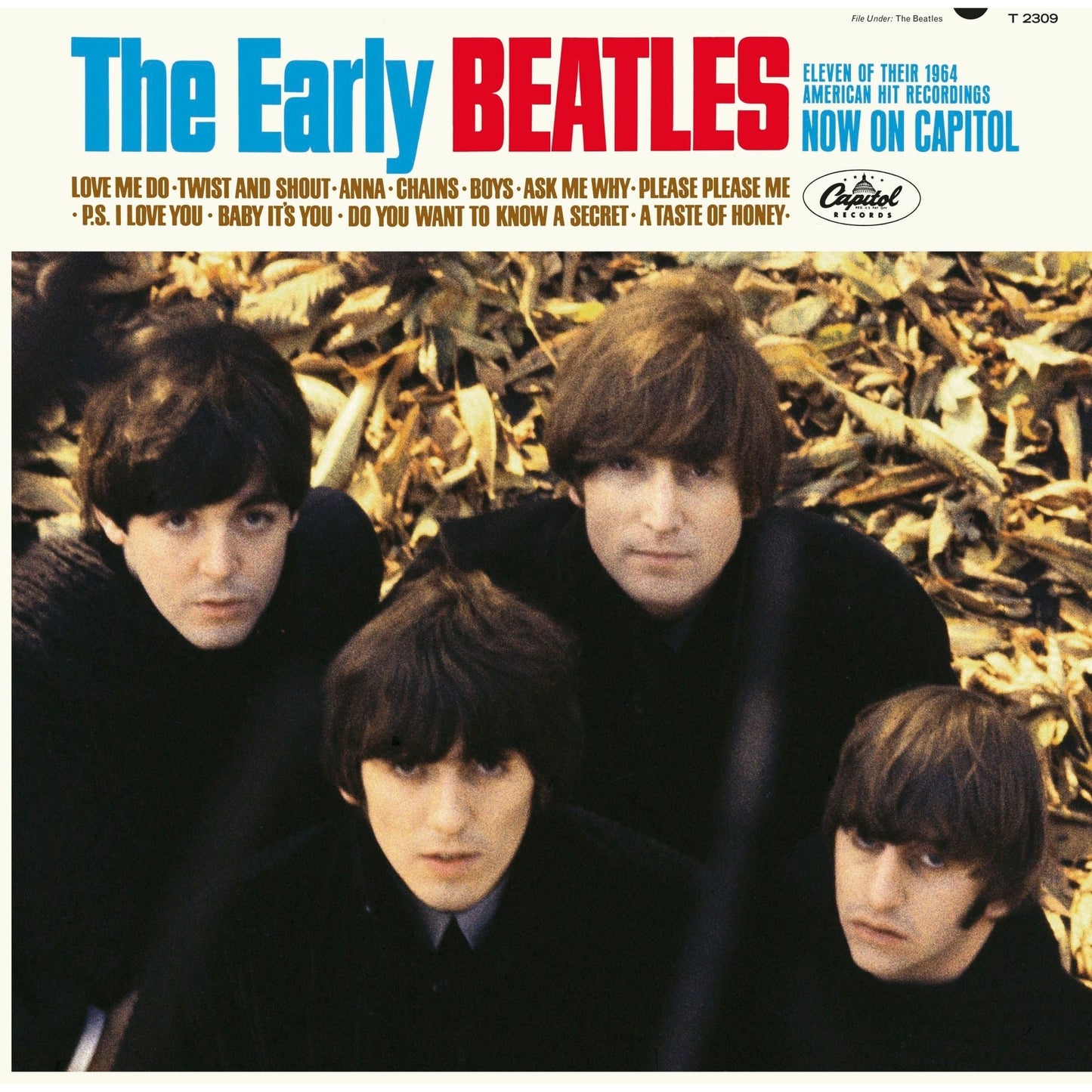 The Beatles - The Early Beatles (In Mono) - VINYL