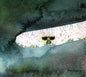 Theclosing: Theclosing - CD