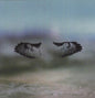 Shoes & Socks Off: Miles of Mad Water - VINYL