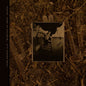 Pixies - Come On Pilgrim... It's Surfer Rosa - VINYL