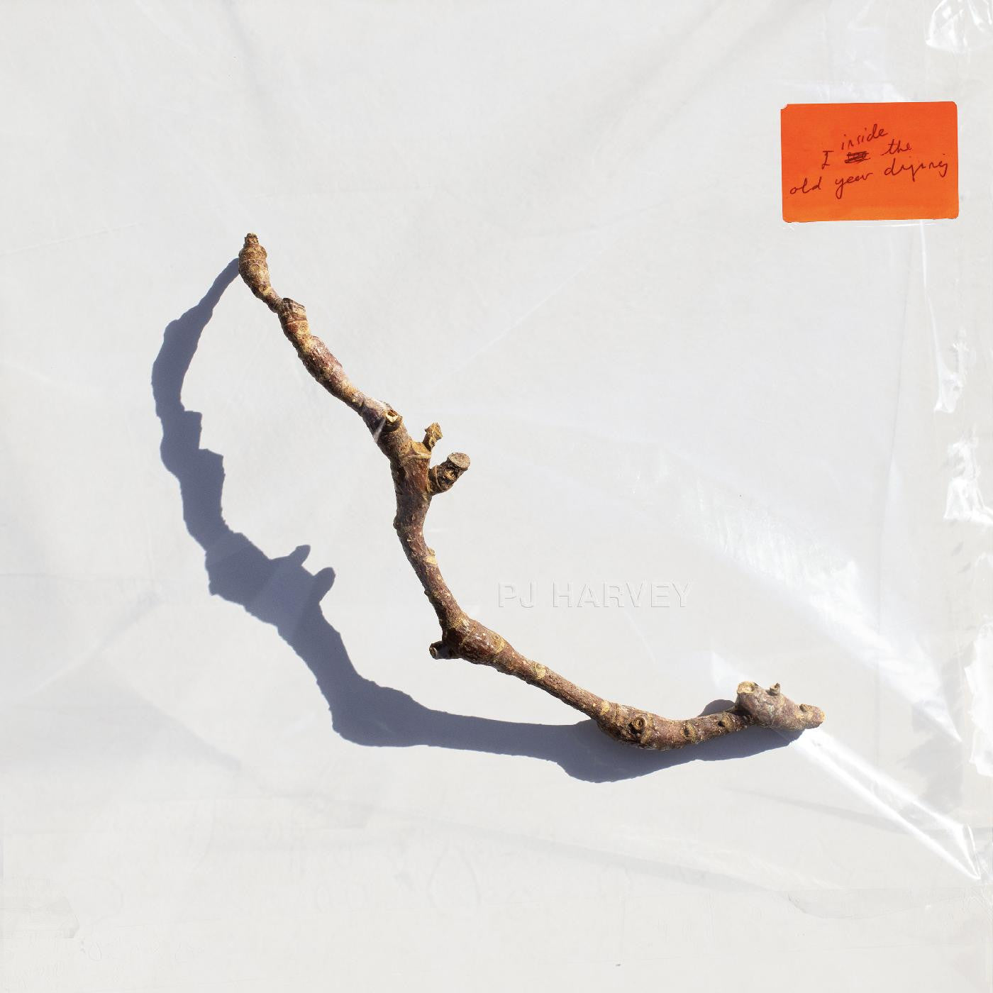 PJ Harvey - I Inside the Old Year Dying - VINYL