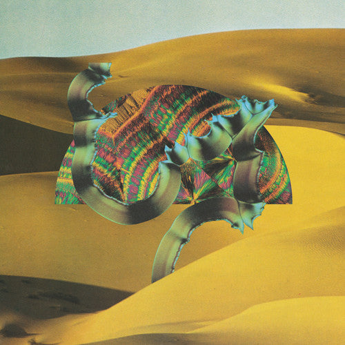 Django Django: Django Django - VINYL
