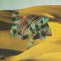 Django Django: Django Django - VINYL