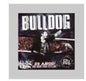 Bulldog: 20 Anos: Una Noche Para Festejar - CD